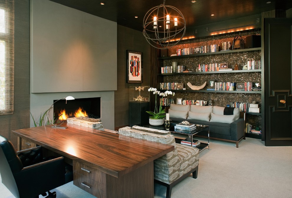 サンディエゴにあるコンテンポラリースタイルのおしゃれなホームオフィス・書斎 (カーペット敷き、自立型机、黒い天井) の写真