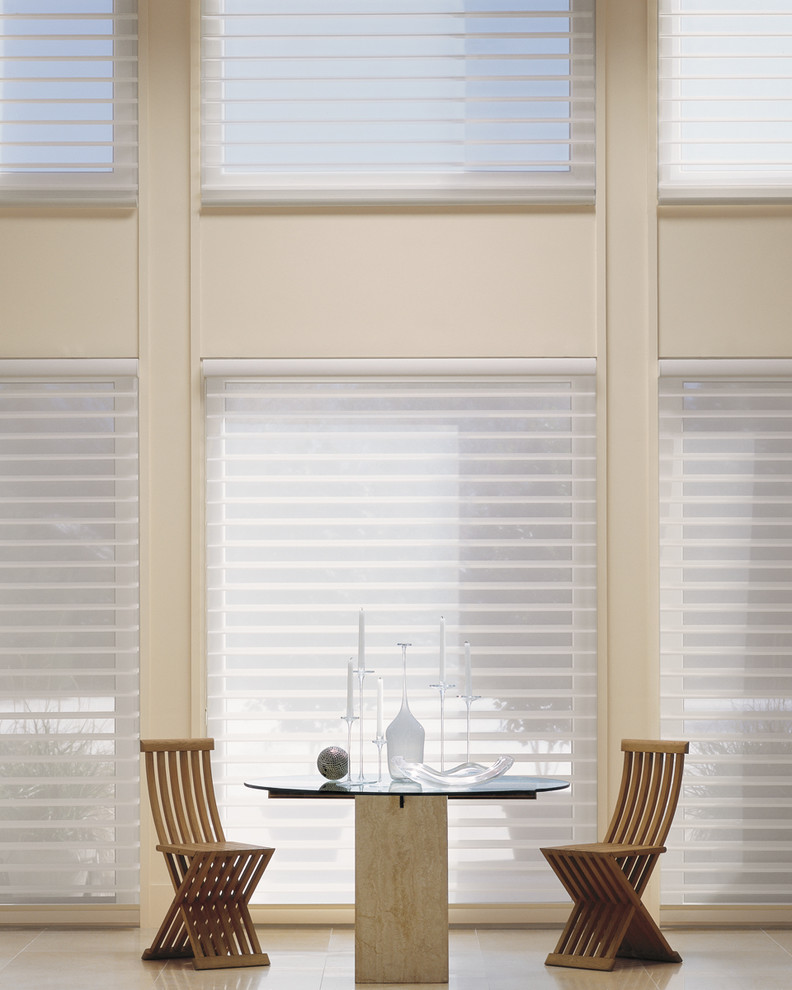 Hunter Douglas Eclectic Window Treatments and Draperies Eclectic