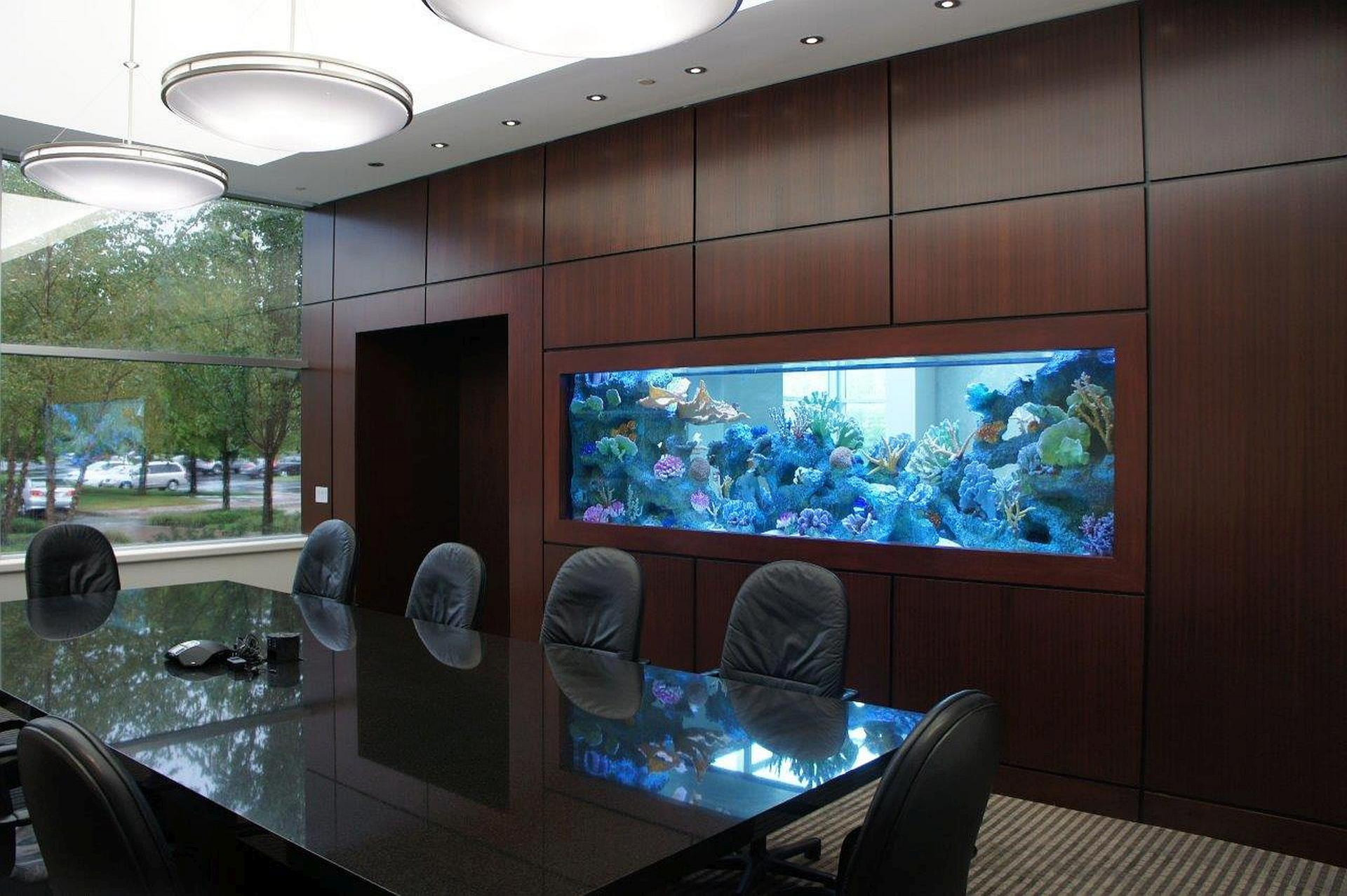 office fish tank