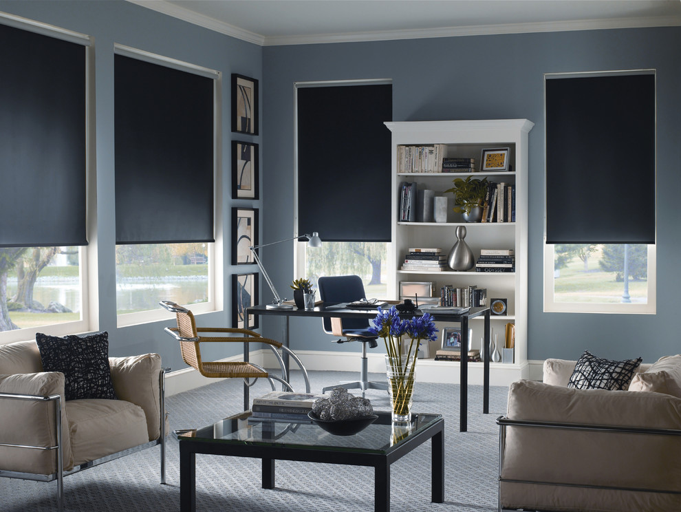 ShadeOMatic Regency Roller Shades Contemporary Home Office