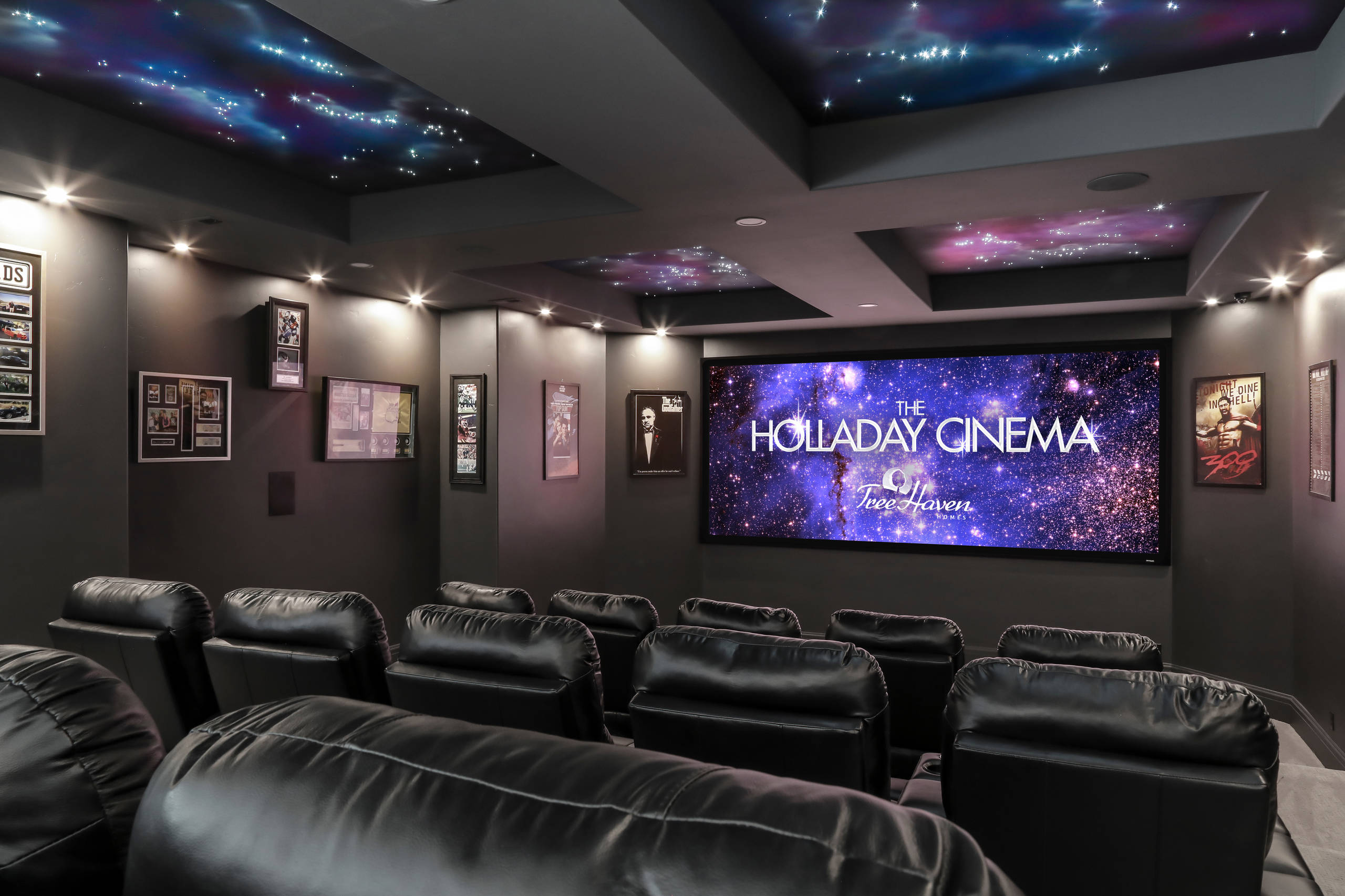 75 Home Theater With Black Walls Ideas