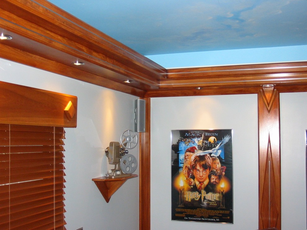 This is an example of a contemporary home cinema in Other.