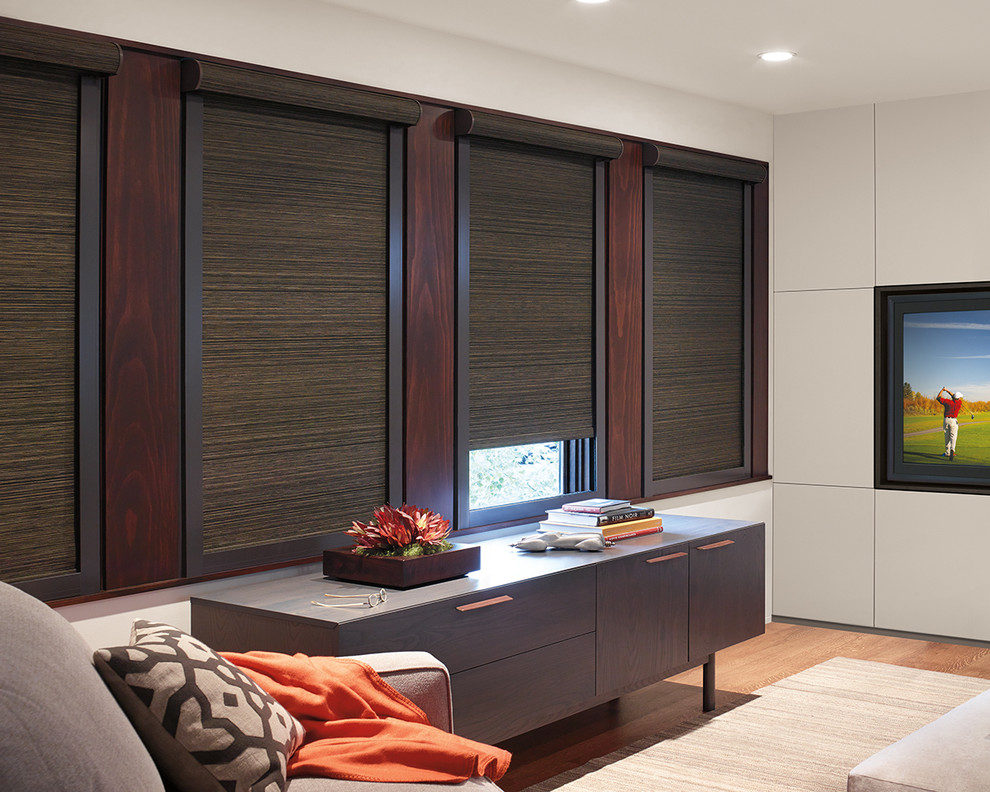 Hunter Douglas Designer Roller Shades with Blockout System