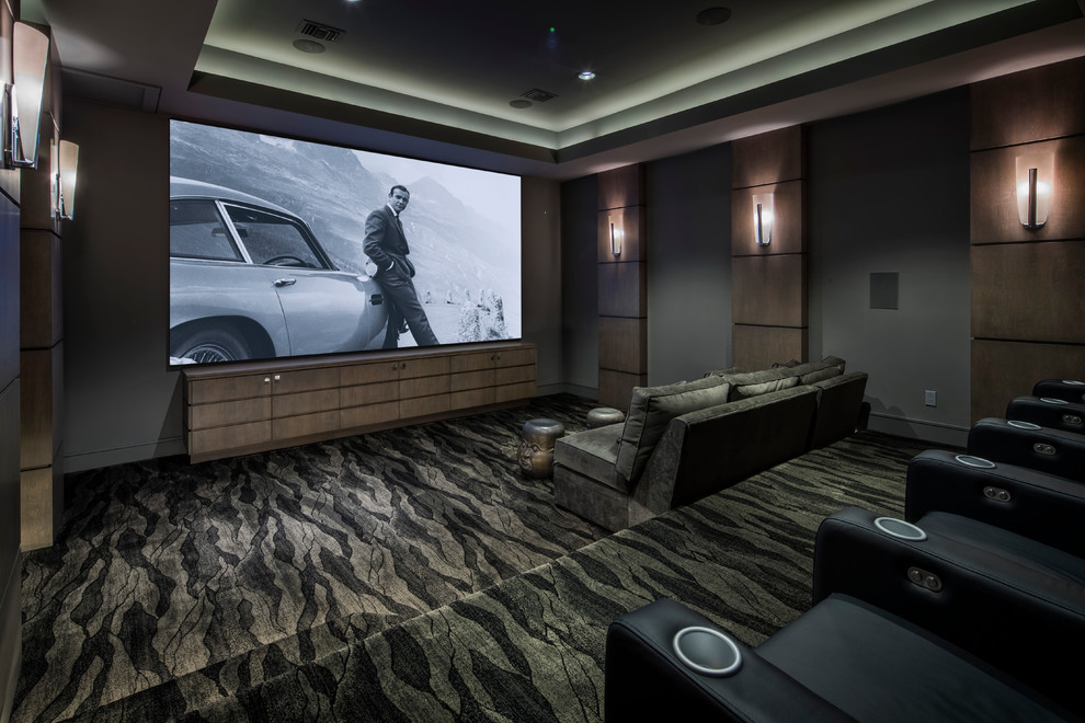 Photo of a contemporary home cinema in Austin.