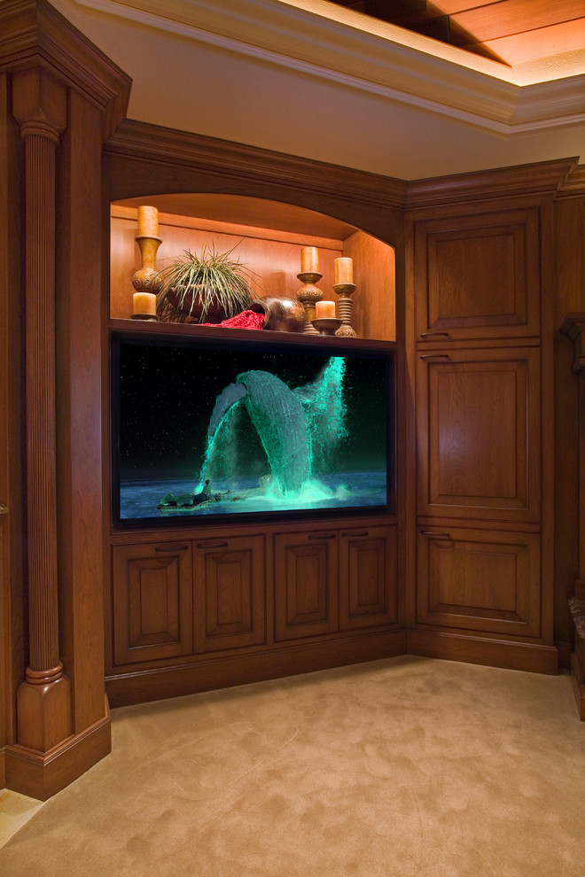 Classic home cinema in Other with a built-in media unit.