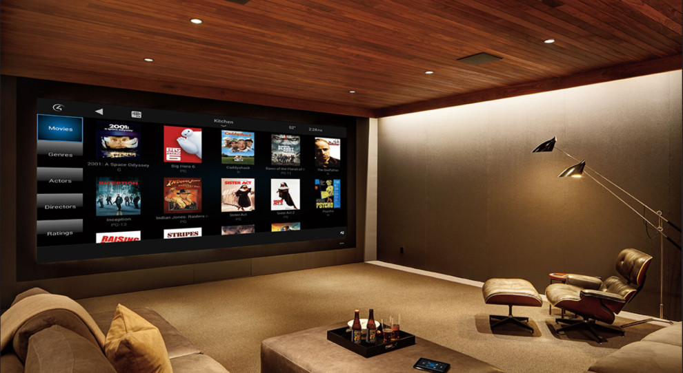 Magnolia Home Theater Projects Contemporary Home Theater