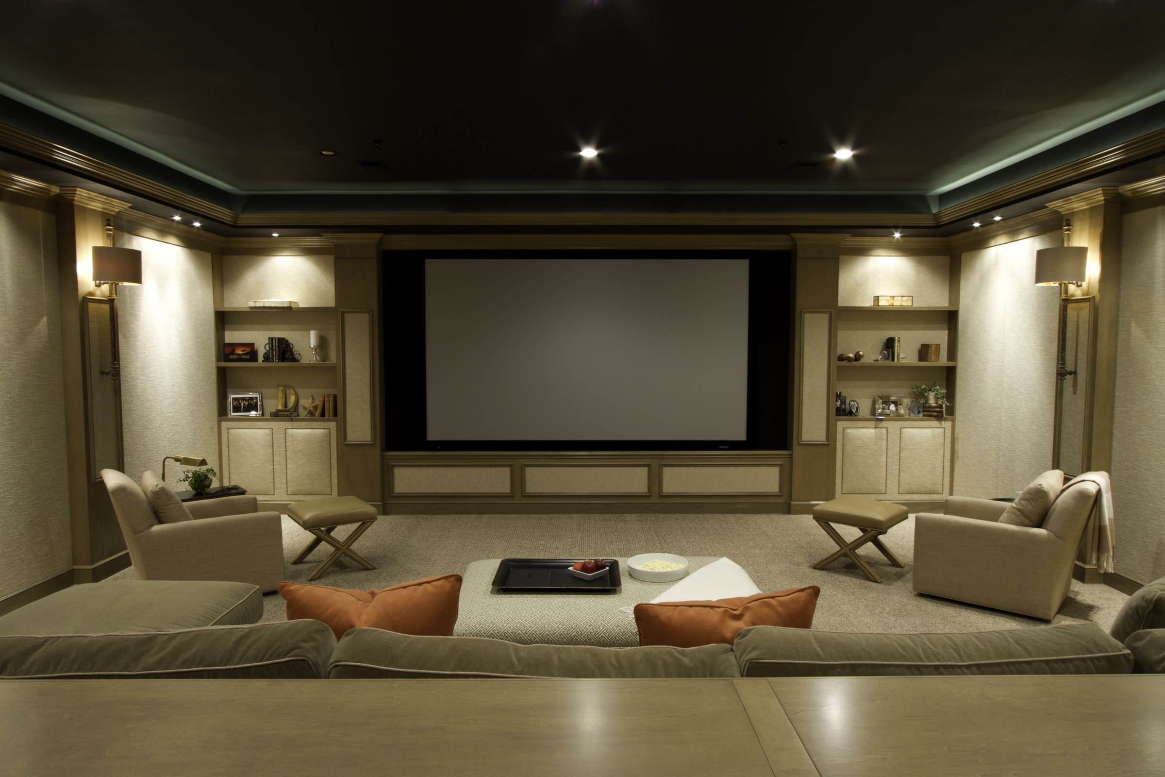 16 Home Theater Ideas, Renovation Tips, and Decor Examples