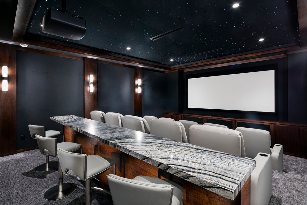 Cette photo montre une salle de cinéma tendance avec un mur noir, moquette et un écran de projection.