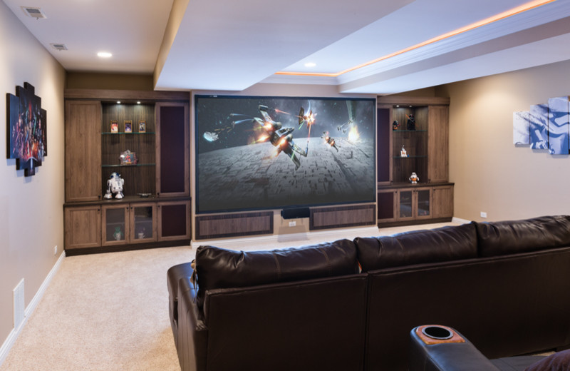 Star Wars Themed Theater Room Home Theater Chicago by Closet
