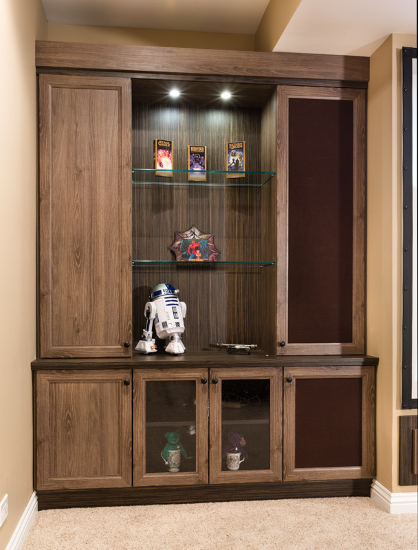 Star Wars Themed Theater Room Home Theater Chicago by Closet