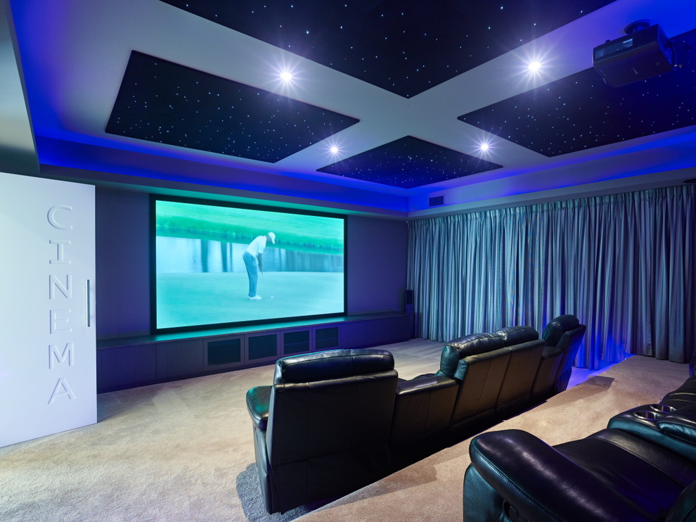 Inspiration pour une grande salle de cinéma traditionnelle fermée avec un mur gris, moquette et un écran de projection.