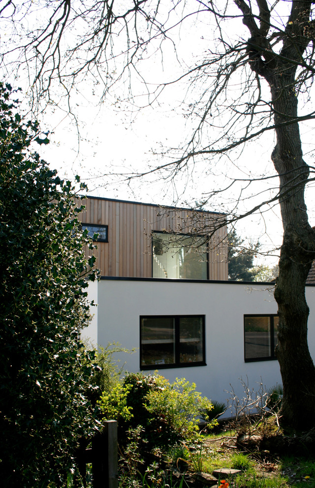 Trendy exterior home photo in Dorset