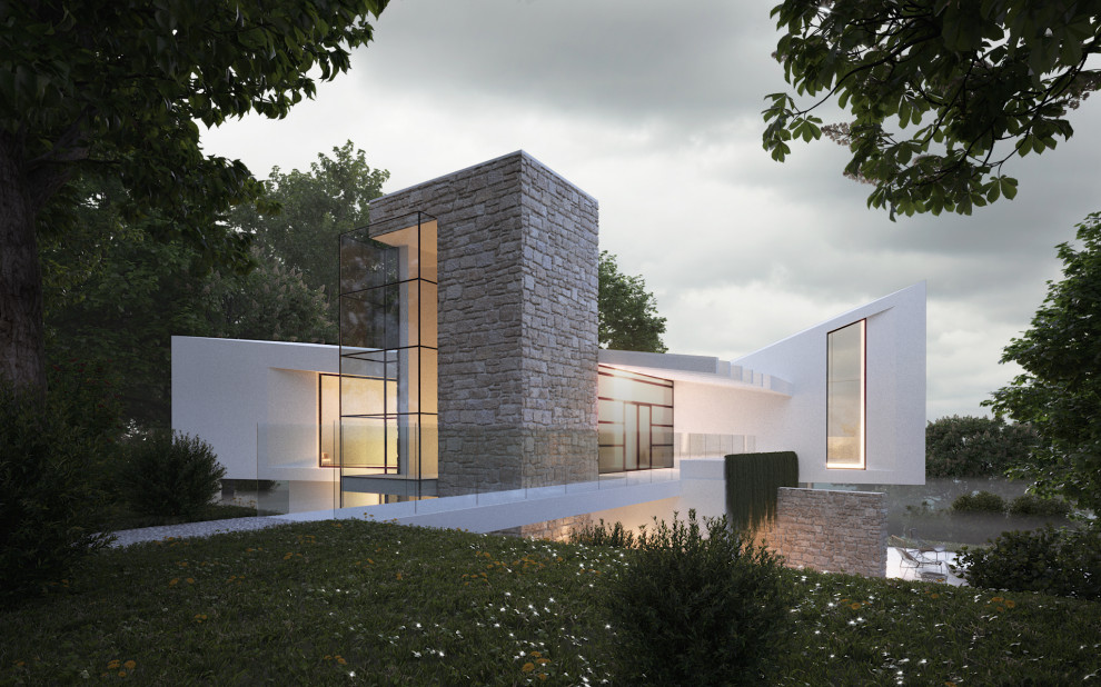 Ejemplo de fachada de casa blanca minimalista grande de dos plantas con tejado de un solo tendido y tejado de varios materiales
