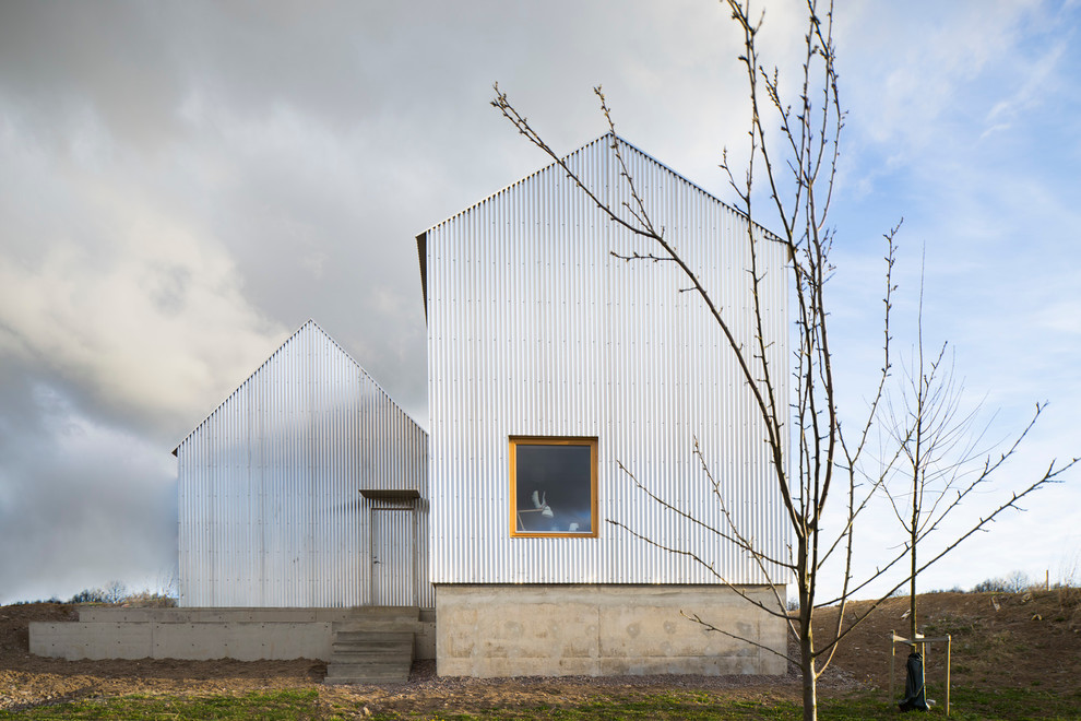 Cette photo montre une très grande façade de maison grise scandinave à un étage avec un revêtement mixte et un toit à deux pans.