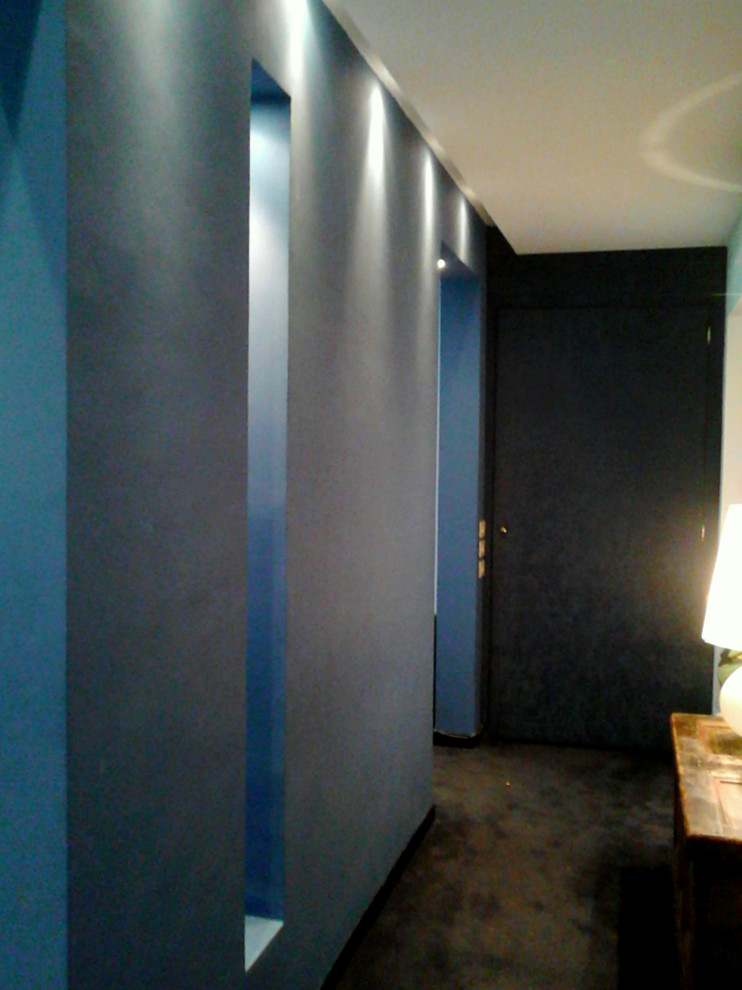 他の地域にあるお手頃価格のコンテンポラリースタイルのおしゃれな廊下 (白い壁、カーペット敷き、黒い床) の写真