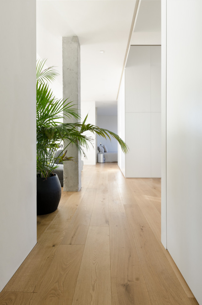 На фото: коридор в стиле модернизм с белыми стенами и деревянным полом с