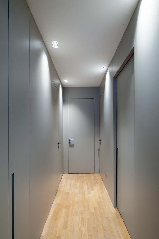 Diseño de recibidores y pasillos modernos pequeños con paredes grises, suelo de madera en tonos medios y suelo marrón