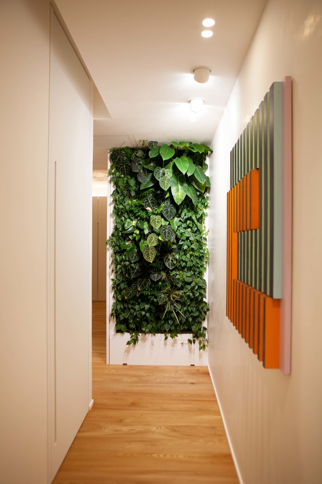 Источник вдохновения для домашнего уюта: коридор среднего размера в современном стиле с белыми стенами, коричневым полом и паркетным полом среднего тона