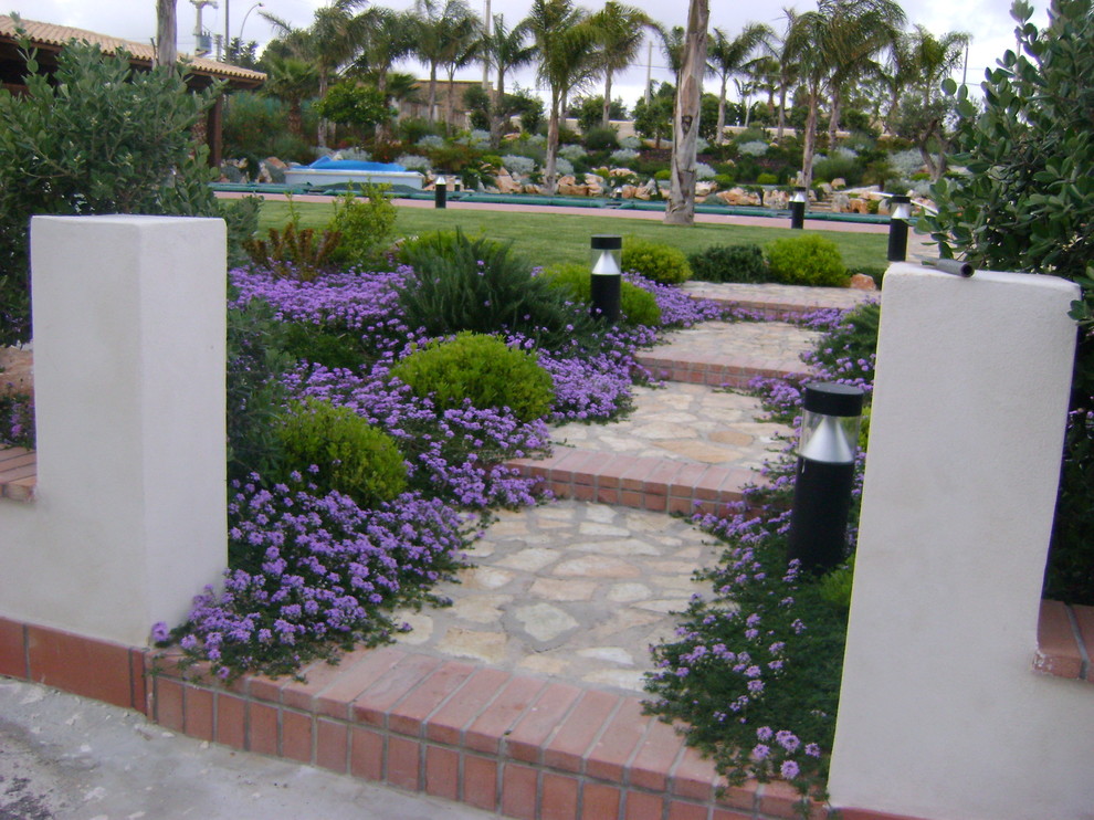 Foto con piante striscianti e cespugli misti Mediterranean Landscape CataniaPalermo by