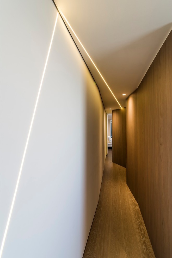 Cette image montre un petit couloir minimaliste avec un mur blanc et parquet peint.