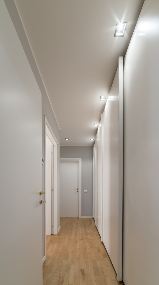 Foto de recibidores y pasillos contemporáneos de tamaño medio con paredes grises y suelo de madera clara