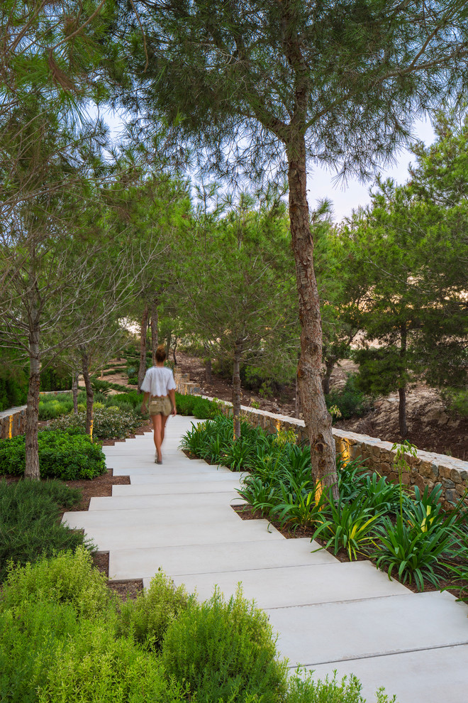 Moderner Garten in Alicante-Costa Blanca