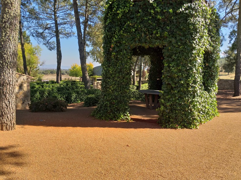 Ejemplo de jardín de estilo de casa de campo en patio trasero con gravilla