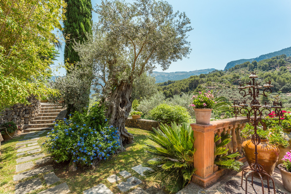Diseño de jardín mediterráneo de tamaño medio en patio trasero con jardín de macetas
