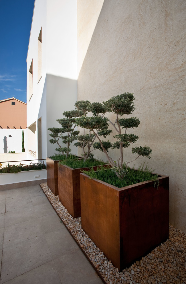This is an example of a contemporary garden in Seville.