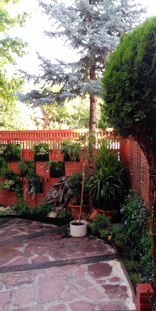 Ejemplo de acceso privado actual de tamaño medio en patio con jardín vertical, exposición parcial al sol y adoquines de piedra natural