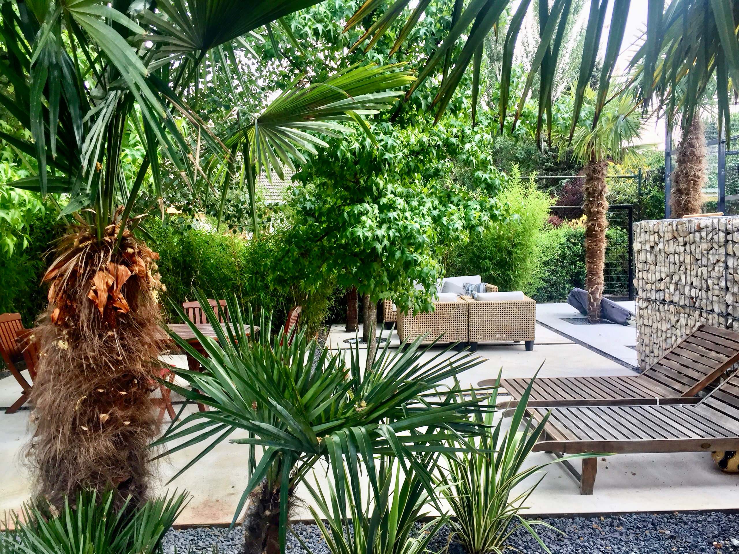 Jardines con palmeras – Ideas para decorar diseños residenciales