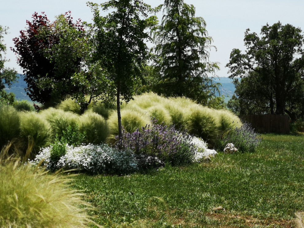 Foto de jardín de secano rústico grande en primavera en ladera con privacidad, exposición total al sol y gravilla