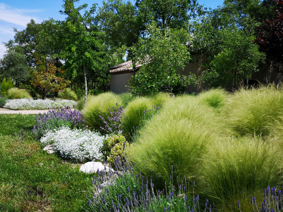 Großer Rustikaler Garten im Frühling mit Sichtschutz und direkter Sonneneinstrahlung in Sonstige