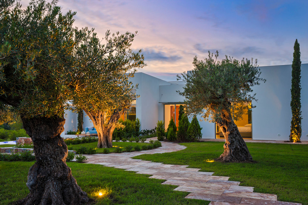 Immagine di un grande giardino moderno dietro casa con un ingresso o sentiero e pavimentazioni in pietra naturale