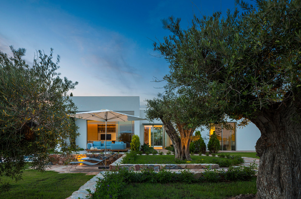 Photo of a large modern front driveway partial sun garden in Alicante-Costa Blanca with a garden path.