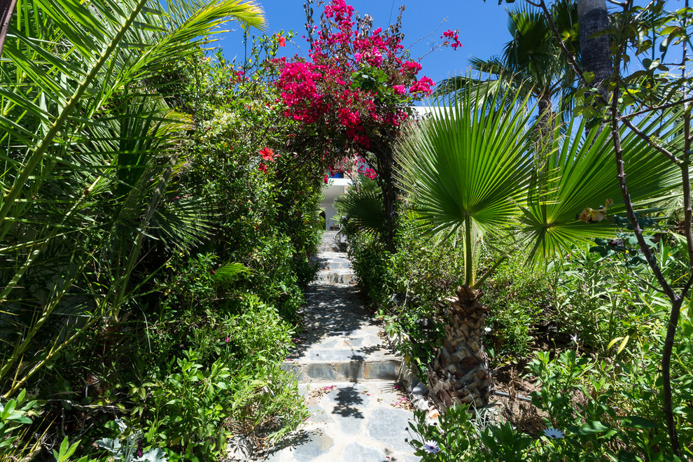 Imagen de jardín exótico extra grande en patio trasero con exposición total al sol y adoquines de piedra natural