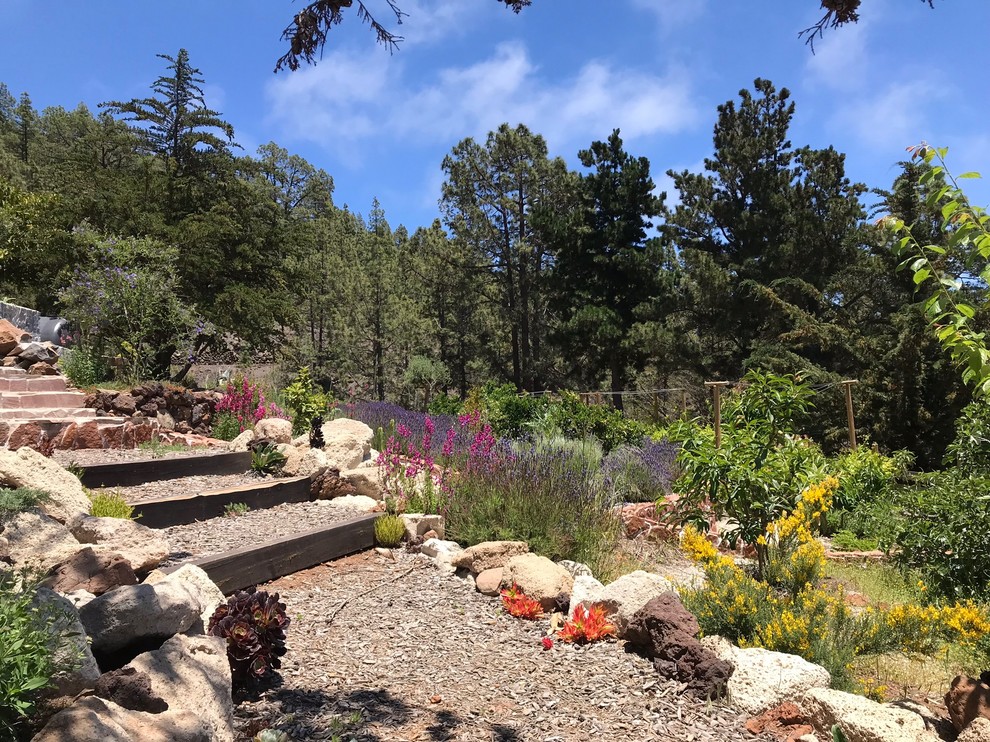 Modelo de camino de jardín contemporáneo en patio trasero con jardín francés y mantillo