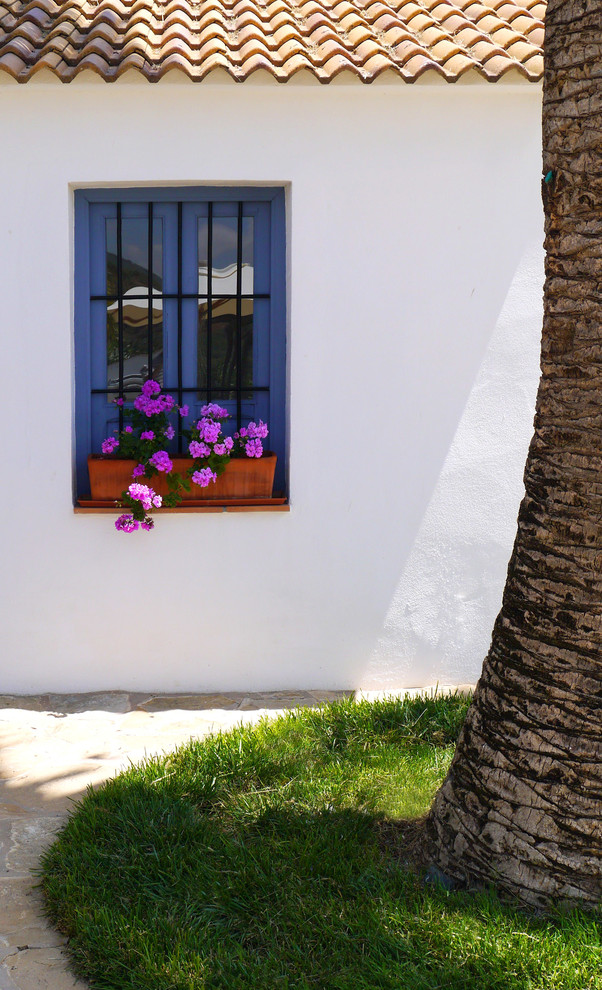 Foto di un piccolo vialetto d'ingresso mediterraneo in cortile con un giardino in vaso