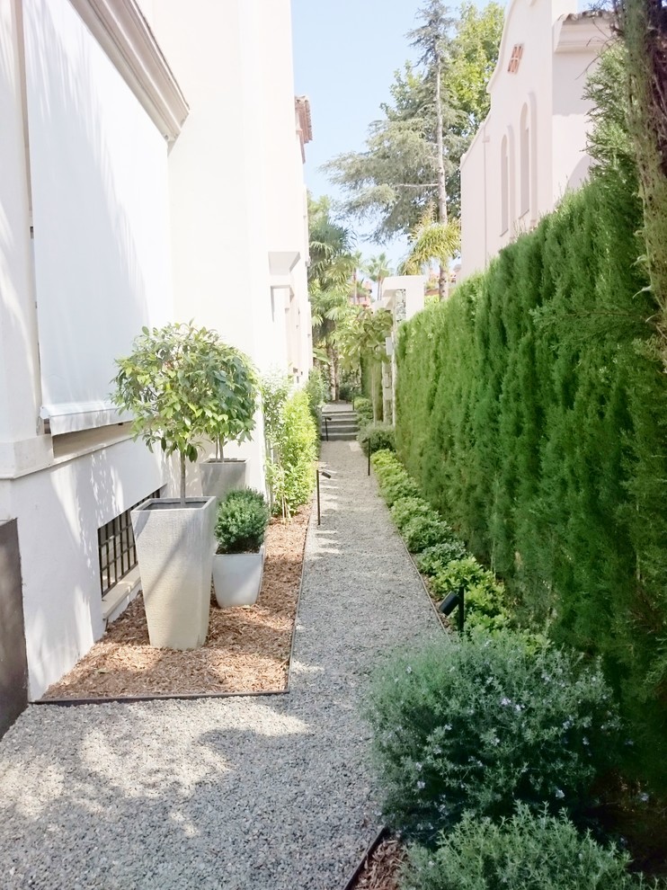 This is an example of a contemporary garden in Malaga.