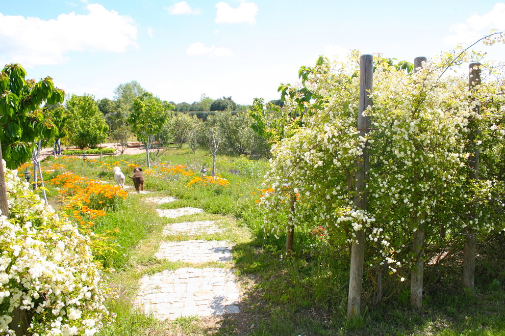 This is an example of a rural garden in Madrid.