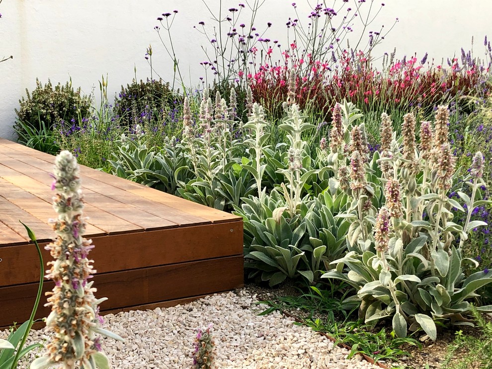 Idée de décoration pour un petit jardin arrière minimaliste au printemps avec une exposition partiellement ombragée et une terrasse en bois.