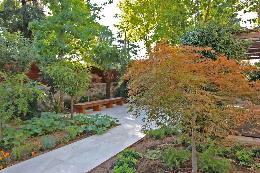 Foto di un giardino minimalista