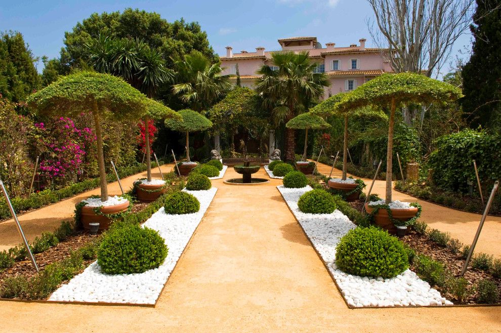 Esempio di un grande giardino formale boho chic esposto in pieno sole davanti casa con un giardino in vaso e ghiaia