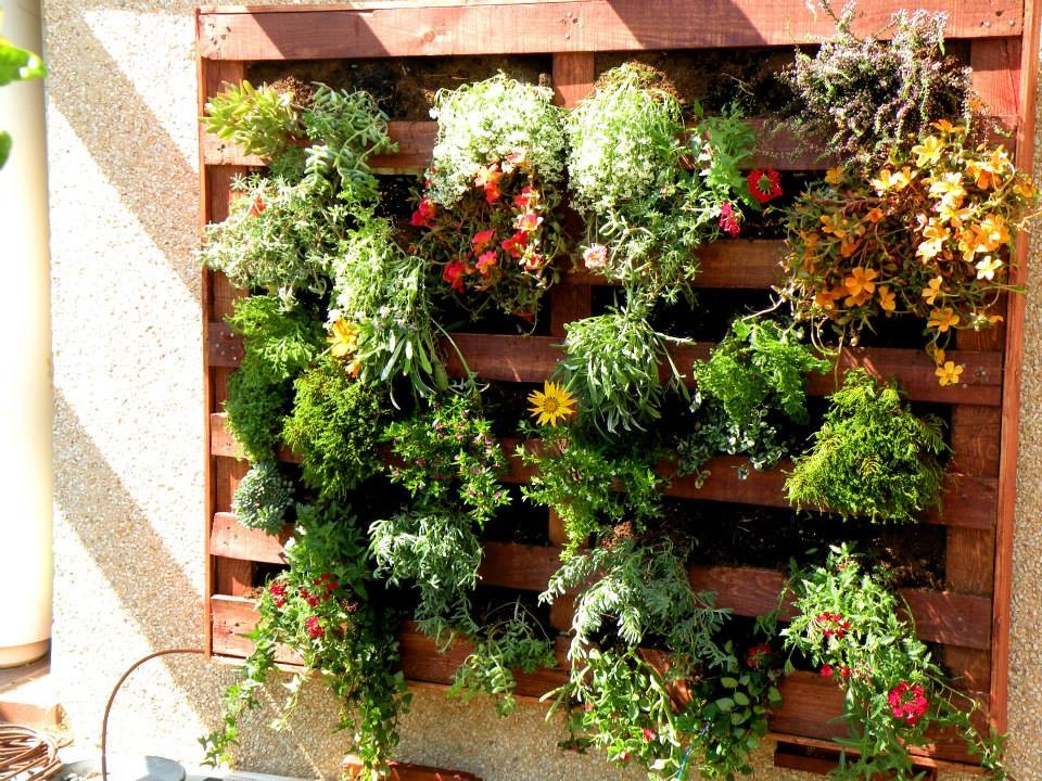 Design ideas for a small world-inspired sloped garden in Madrid with a living wall.