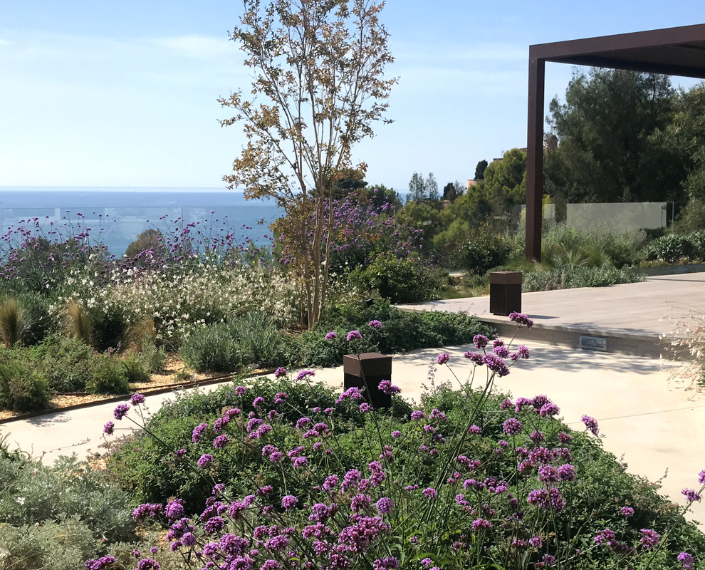 Ejemplo de jardín de secano mediterráneo de tamaño medio en patio trasero con fuente, exposición total al sol y adoquines de hormigón