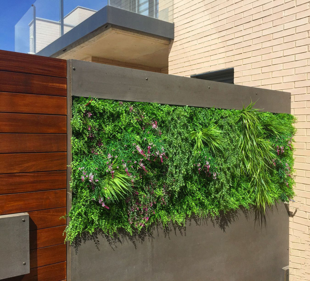 マドリードにあるコンテンポラリースタイルのおしゃれな庭 (壁面緑化) の写真