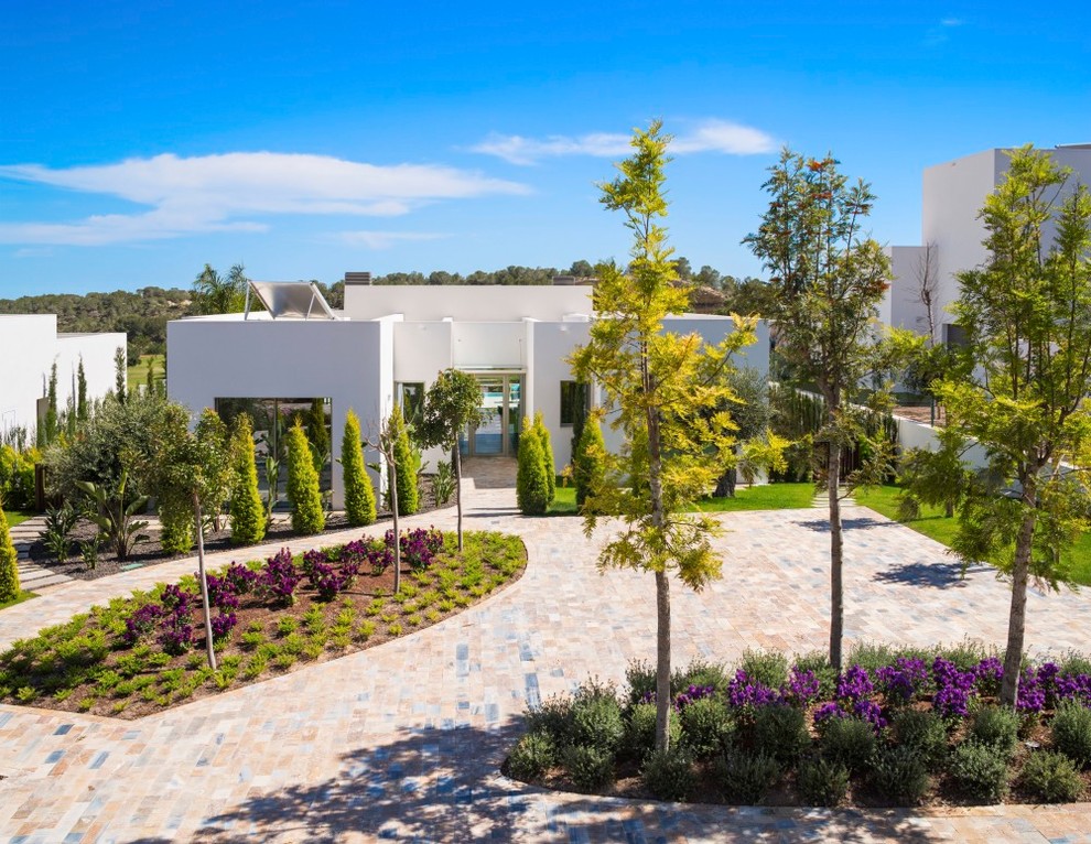 Immagine di un grande giardino formale mediterraneo davanti casa con un ingresso o sentiero