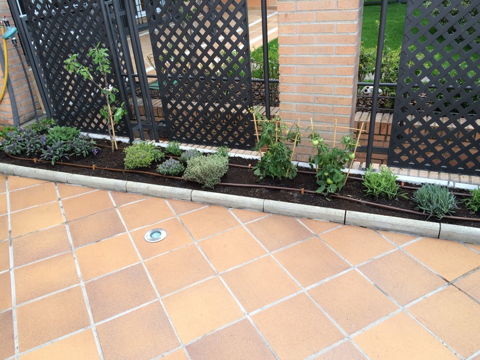 Kleiner Moderner Gemüsegarten neben dem Haus mit Auffahrt in Madrid