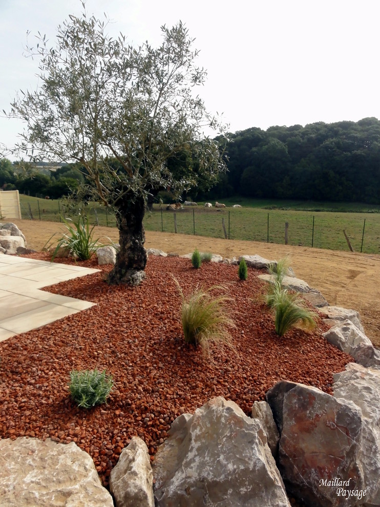 Ejemplo de jardín mediterráneo de tamaño medio en patio trasero con exposición total al sol y adoquines de piedra natural