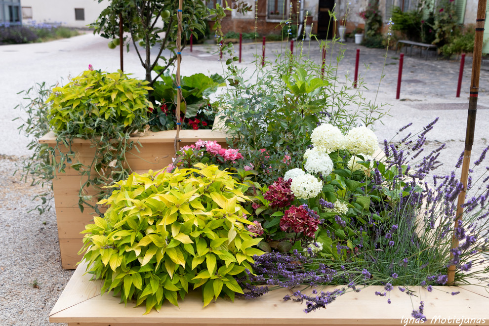 Inspiration pour un petit jardin design l'été avec une exposition ensoleillée.